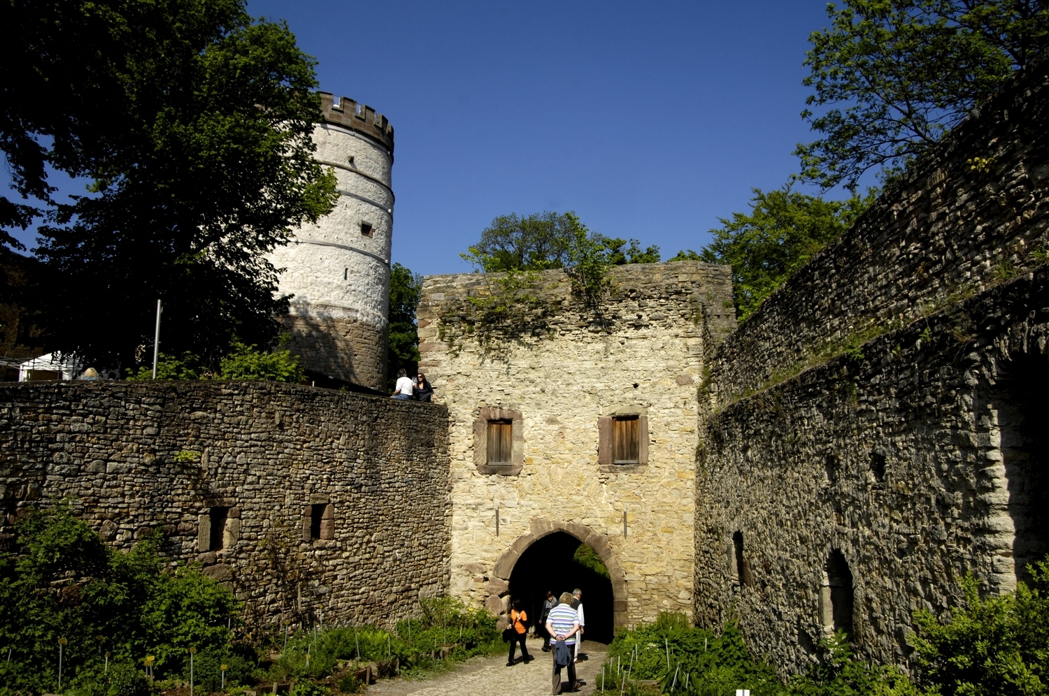 Burg Plesse, Burgtor