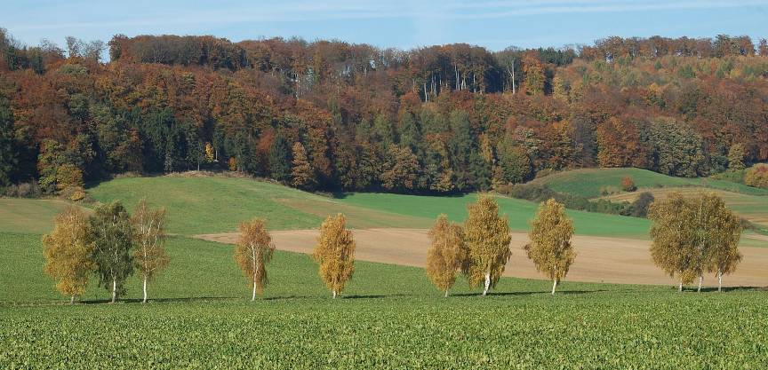 Bordenwerder