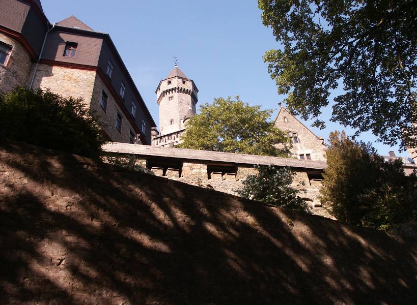 braunfes 2