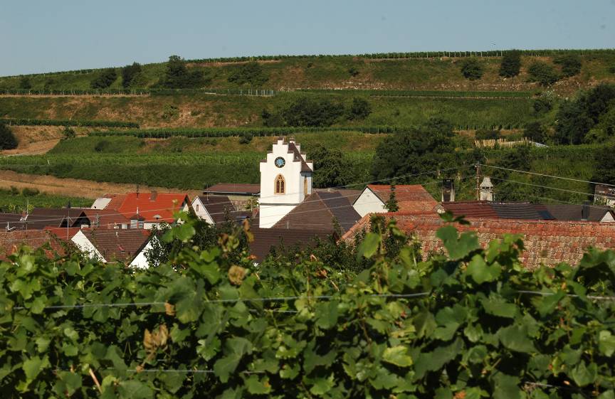 lesielheim